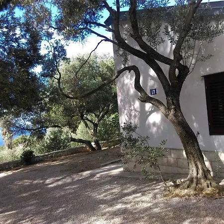 In 27846 * אורביץ