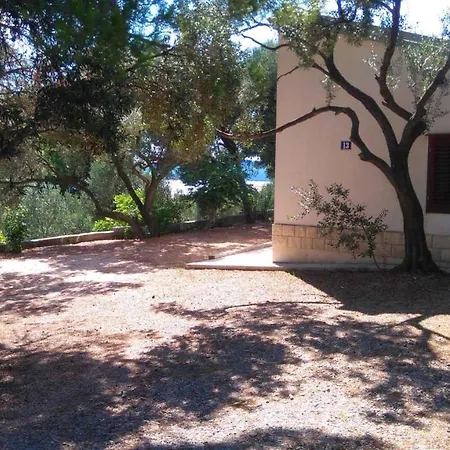 In 27846 אורביץ